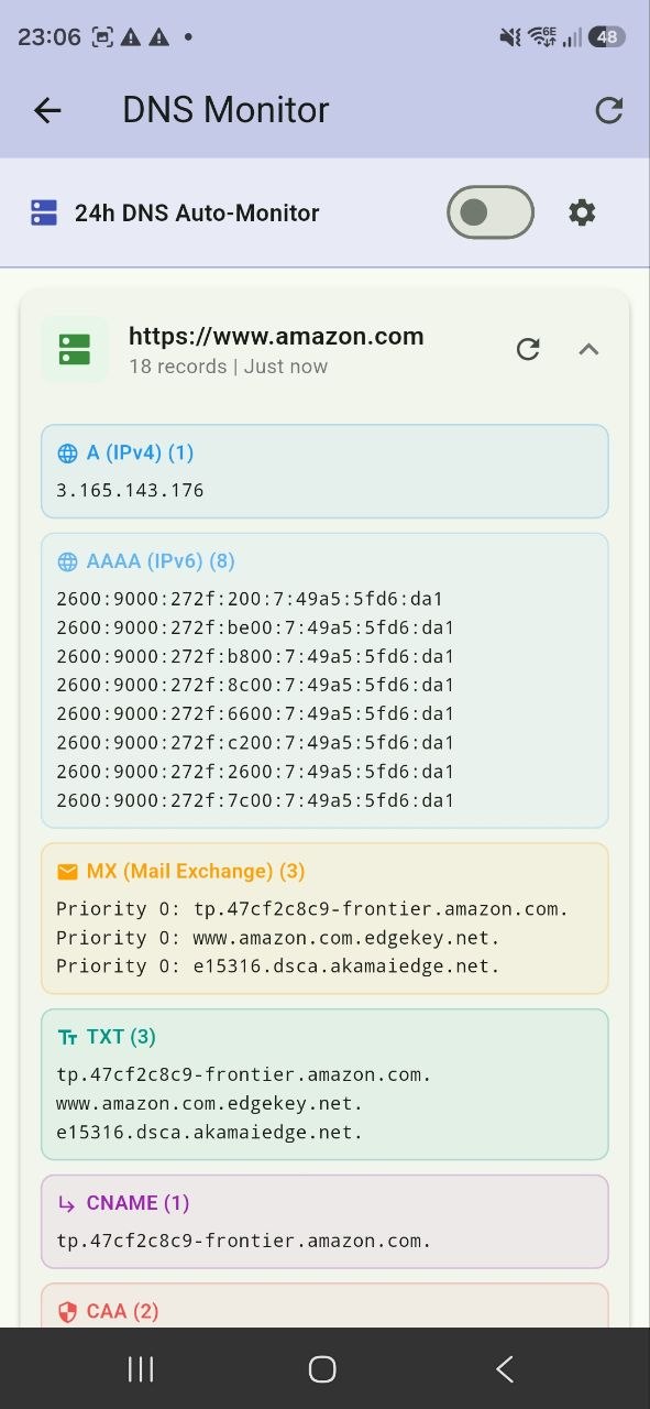 BeyondSite: DNS Monitor