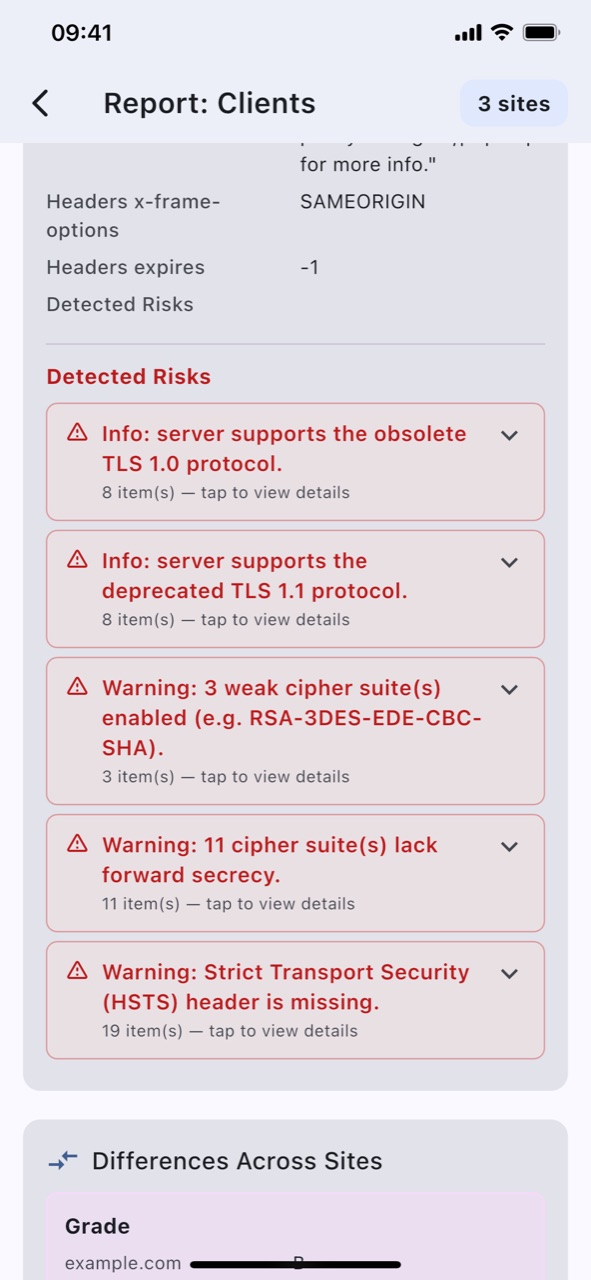 The detected risks section of a group security report, listing issues such as obsolete TLS versions, weak cipher suites, and a missing HSTS header