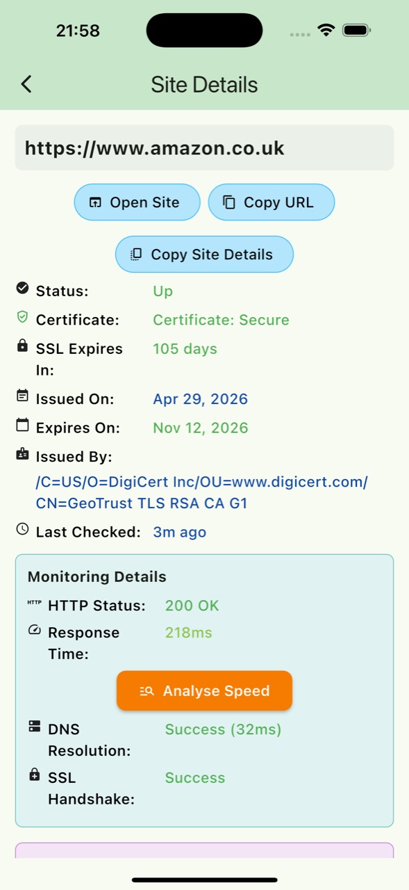 The BeyondSite site details screen for a monitored domain, listing its status, SSL expiry, HTTP status, response time, and its DNS and SSL handshake results